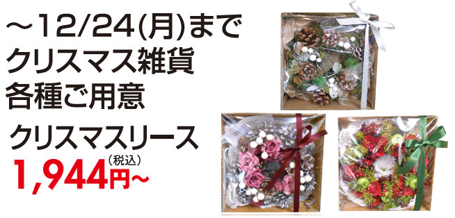 2018xmas_hama 2018xmas_hama